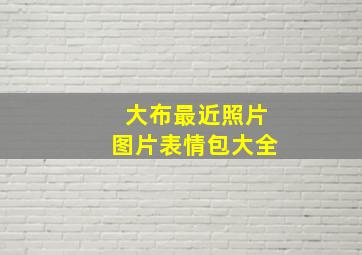 大布最近照片图片表情包大全