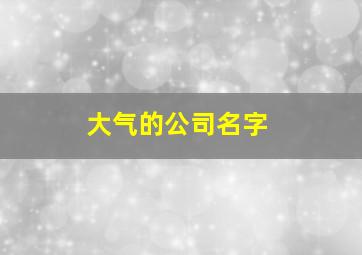 大气的公司名字