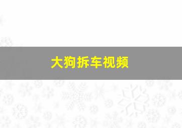 大狗拆车视频