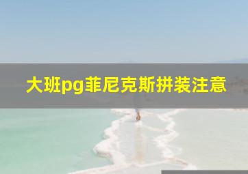 大班pg菲尼克斯拼装注意