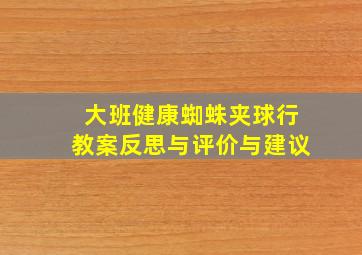 大班健康蜘蛛夹球行教案反思与评价与建议