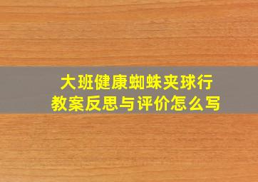 大班健康蜘蛛夹球行教案反思与评价怎么写