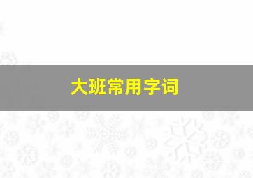 大班常用字词