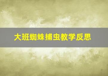 大班蜘蛛捕虫教学反思