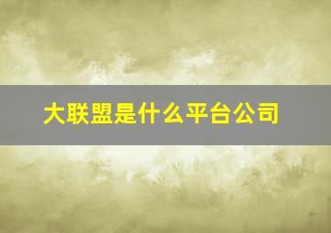 大联盟是什么平台公司