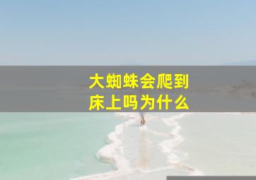 大蜘蛛会爬到床上吗为什么