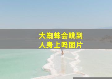 大蜘蛛会跳到人身上吗图片