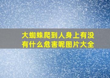 大蜘蛛爬到人身上有没有什么危害呢图片大全