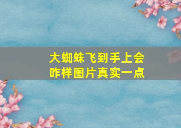 大蜘蛛飞到手上会咋样图片真实一点