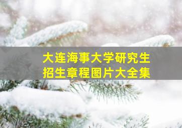 大连海事大学研究生招生章程图片大全集