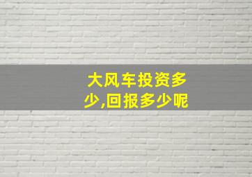 大风车投资多少,回报多少呢