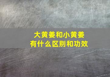 大黄姜和小黄姜有什么区别和功效