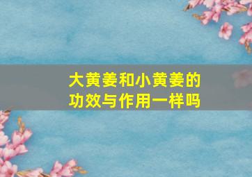 大黄姜和小黄姜的功效与作用一样吗