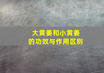 大黄姜和小黄姜的功效与作用区别