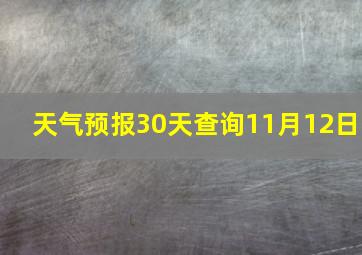 天气预报30天查询11月12日