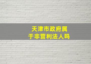 天津市政府属于非营利法人吗