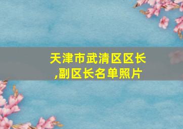 天津市武清区区长,副区长名单照片