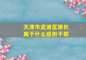 天津市武清区镇长属于什么级别干部