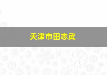 天津市田志武