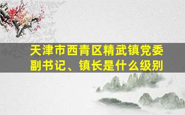 天津市西青区精武镇党委副书记、镇长是什么级别