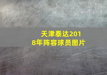 天津泰达2018年阵容球员图片