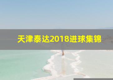 天津泰达2018进球集锦