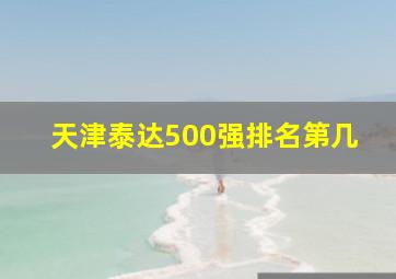 天津泰达500强排名第几