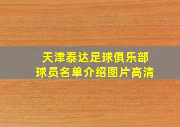 天津泰达足球俱乐部球员名单介绍图片高清