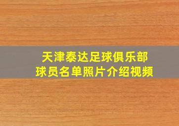 天津泰达足球俱乐部球员名单照片介绍视频