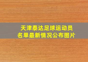 天津泰达足球运动员名单最新情况公布图片