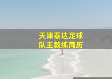 天津泰达足球队主教练简历