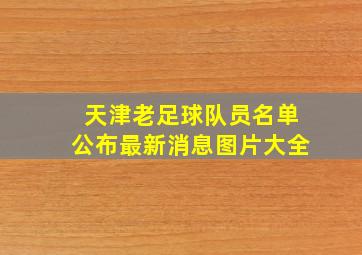 天津老足球队员名单公布最新消息图片大全