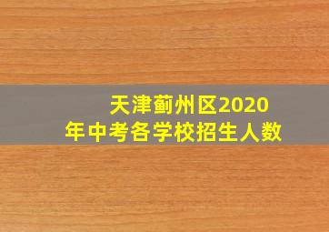 天津蓟州区2020年中考各学校招生人数