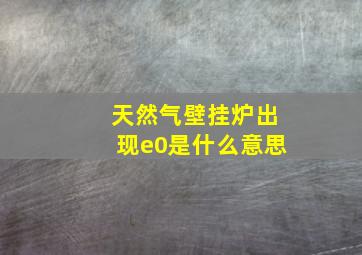 天然气壁挂炉出现e0是什么意思