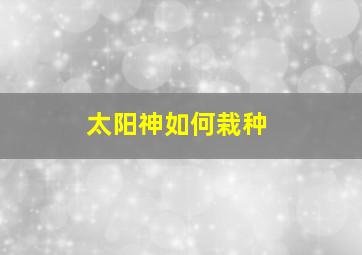 太阳神如何栽种