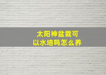 太阳神盆栽可以水培吗怎么养