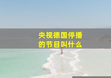 央视德国停播的节目叫什么