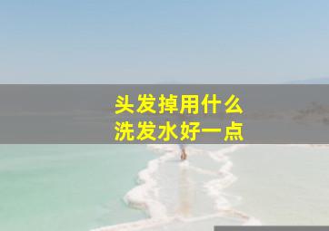 头发掉用什么洗发水好一点