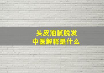 头皮油腻脱发中医解释是什么