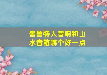 奎鲁特人音响和山水音箱哪个好一点