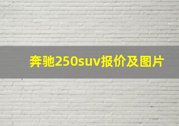 奔驰250suv报价及图片