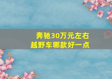 奔驰30万元左右越野车哪款好一点