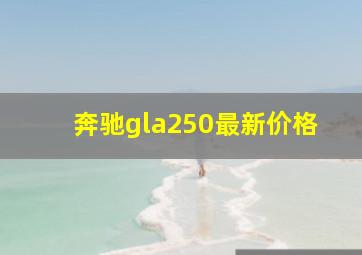 奔驰gla250最新价格