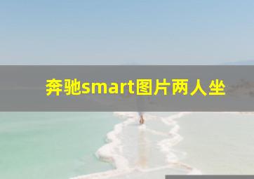 奔驰smart图片两人坐