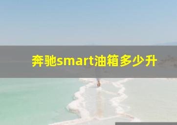 奔驰smart油箱多少升