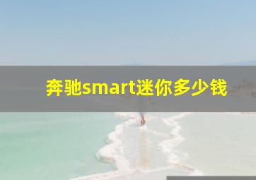 奔驰smart迷你多少钱