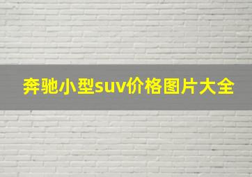 奔驰小型suv价格图片大全