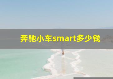 奔驰小车smart多少钱