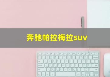 奔驰帕拉梅拉suv