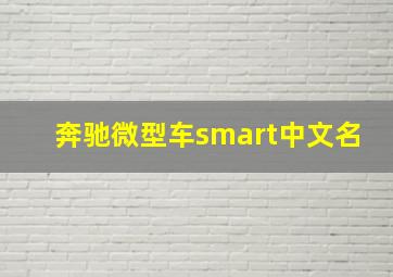 奔驰微型车smart中文名